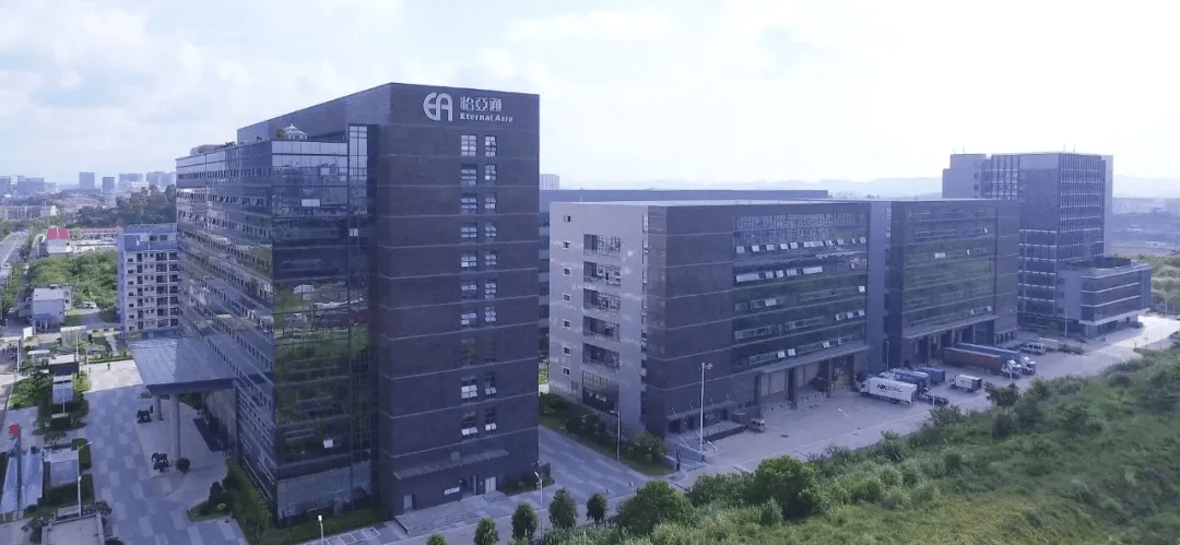 立异模式，尊龙凯时“机场”与“航空公司”双剑合璧