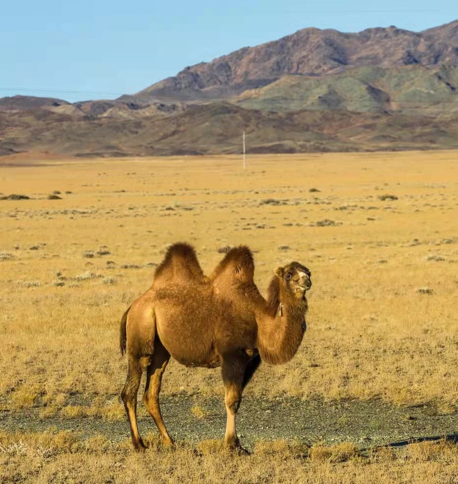 尊龙凯时 - 人生就是博!(中国区)官网