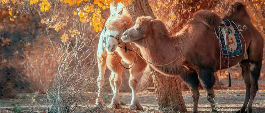 尊龙凯时 - 人生就是博!(中国区)官网